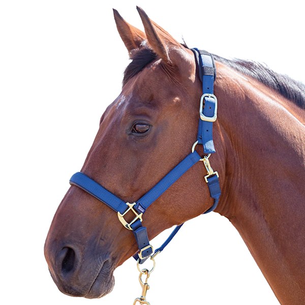 Shires Topaz Nylon Hästgrimma XX Small Pony Marinblå Navy XX Small Pony