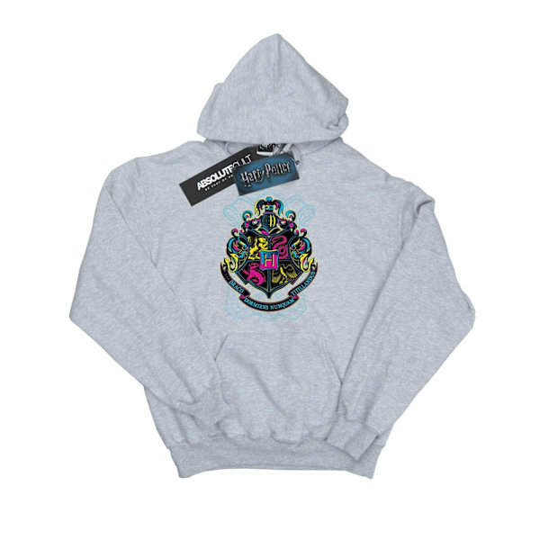 Harry Potter Dam/Kvinnor Neon Hogwarts Crest Hoodie L Heather Heather Grey L