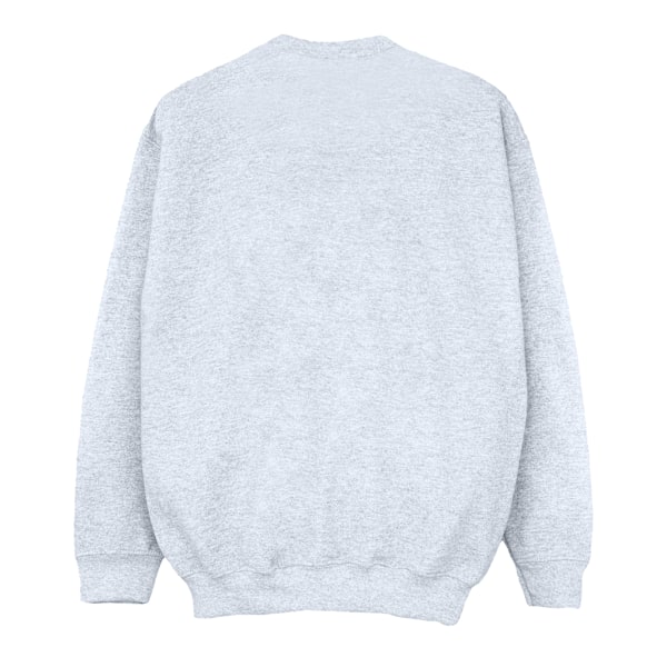 Disney Dam/Kvinnor Winnie The Pooh Eeyore Mun Sweatshirt L Sports Grey L