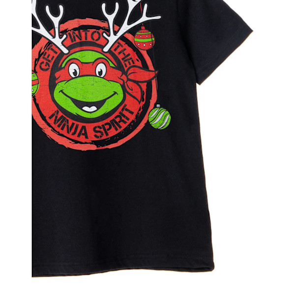 Teenage Mutant Ninja Turtles Boys Get Into The Ninja Spirit T-S Black 9-10 Years
