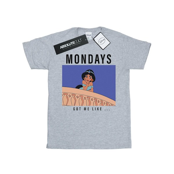 Disney Princess Mens Jasmine Mondays Got Me Like T-Shirt XL Spo Sports Grey XL