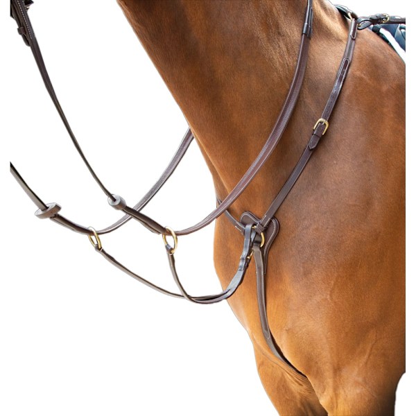 Salisbury Läder Hästbröstplatta Cob Australian Nut Australian Nut Cob