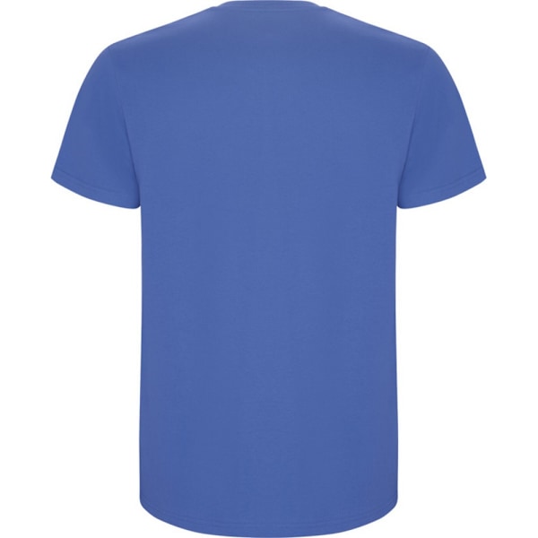 Roly Barn/Barn Stafford Kortärmad T-shirt 7-8 År Ri Riviera Blue 7-8 Years
