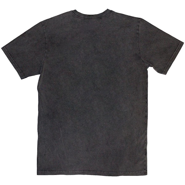 The Beach Boys Unisex Vuxen Vintage Foto Sten Tvättad T-shirt XX Charcoal Grey XXL