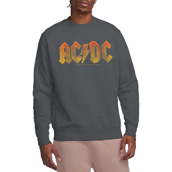 AC/DC Unisex Vuxen Gradient Logo Sweatshirt M Kolgrå Charcoal M