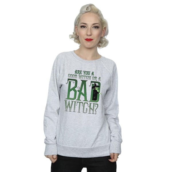 Trollkarlen från Oz Dam/Dam God Häxa Ond Häxa Sweatshirt Heather Grey M