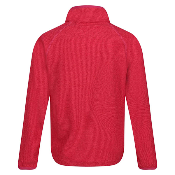 Regatta Loco Fleece för barn, 15-16 år, Rosa Potion Pink Potion 15-16 Years