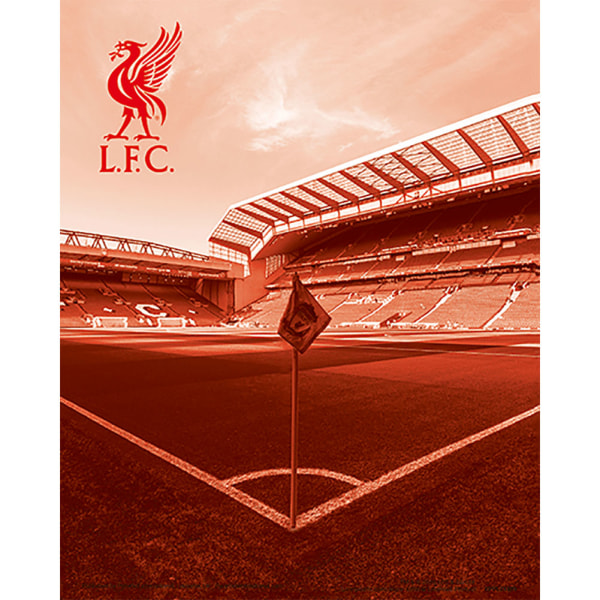 Liverpool FC Anfield Stadium 3D-tryck En Storlek Röd/Vit Red/White One Size