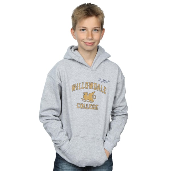 Disney Boys Onward Willowdale College Hoodie 3-4 år Sports G Sports Grey 3-4 Years