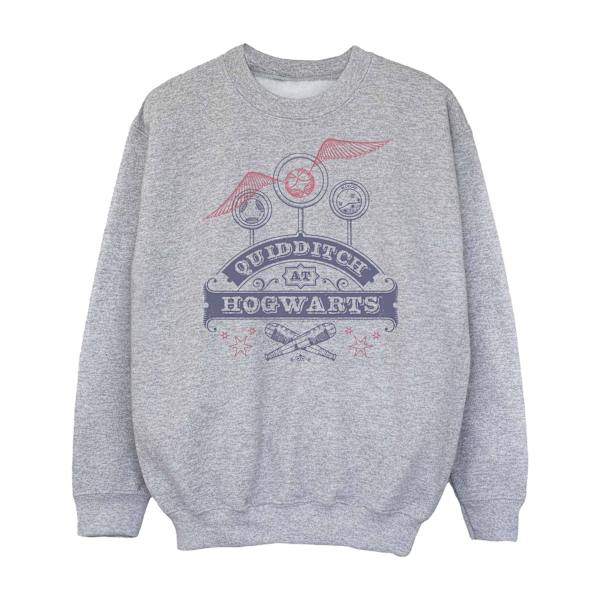 Harry Potter Quidditch på Hogwarts Sweatshirt för flickor 9-11 år Sports Grey 9-11 Years