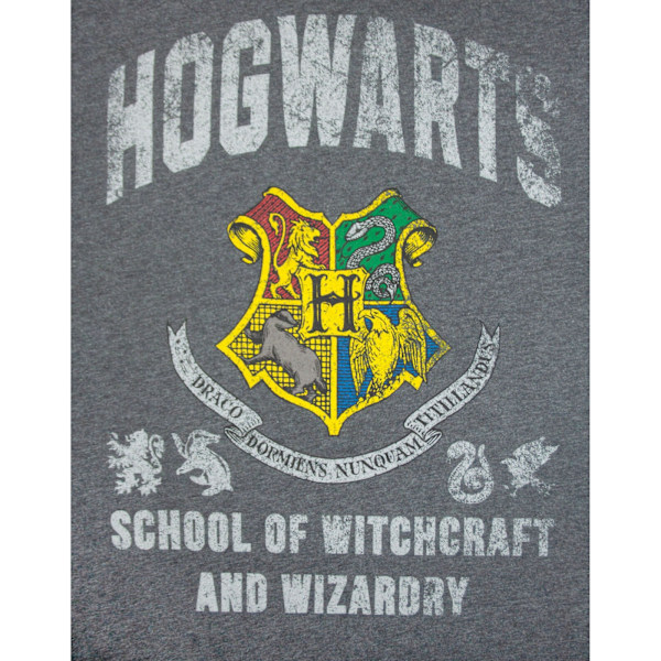 Harry Potter Hogwarts T-shirt för män, L, kolgrå Charcoal L