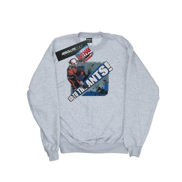 Marvel Girls Ant-Man Go To The Ants Sweatshirt 7-8 Years Sports Sports Grey 7-8 Years