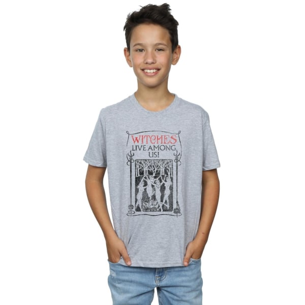 Fantastic Beasts Boys Witches Live Among Us T-shirt 9-11 år Sports Grey 9-11 Years
