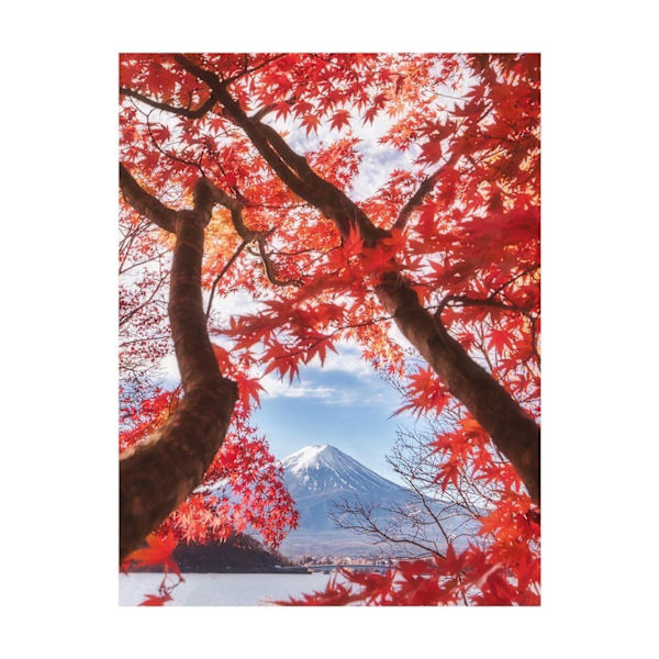 Pyramid International Mount Fuji Autumn Leaves Print 50cm x 40cm Red/Blue/Brown 50cm x 40cm