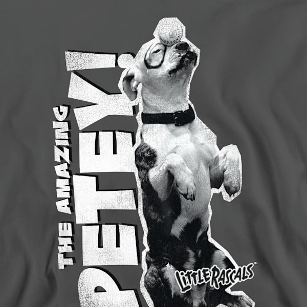 The Little Rascals Unisex Vuxen Amazing Petey Sweatshirt M Gråmelerad Charcoal M