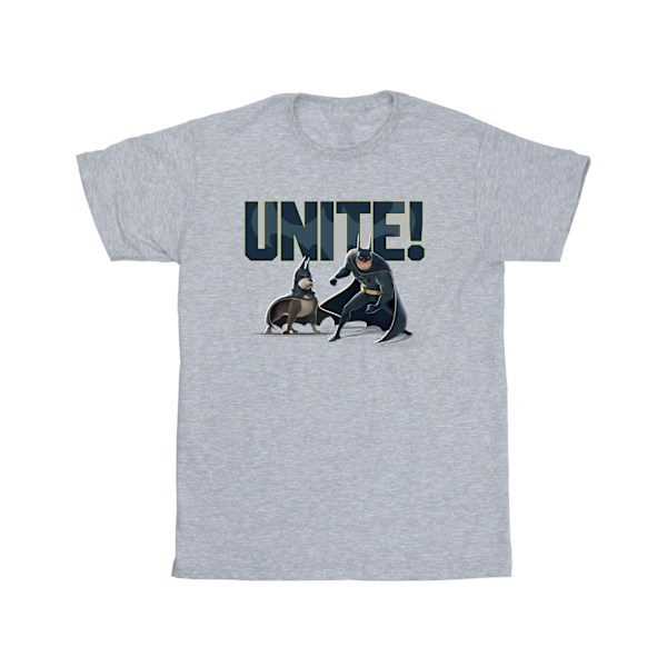 DC Comics Boys DC Comics DC League Of Super-Pets Unite Par T-S Sports Grey 7-8 Years