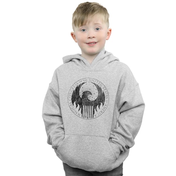 Fantastiska vidunder Pojkar Distressed Magical Congress Hoodie 5-6 år Sports Grey 5-6 Years