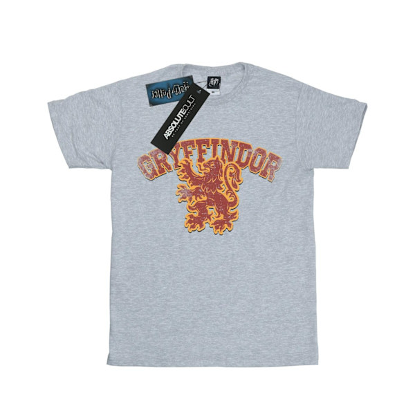 Harry Potter T-shirt i bomull med Gryffindors sportemblem för flickor, 5-6 år Sports Grey 5-6 Years