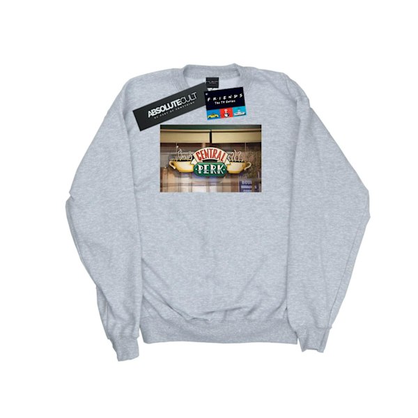 Friends Mens Central Perk Foto Sweatshirt L Sports Grey Sports Grey L