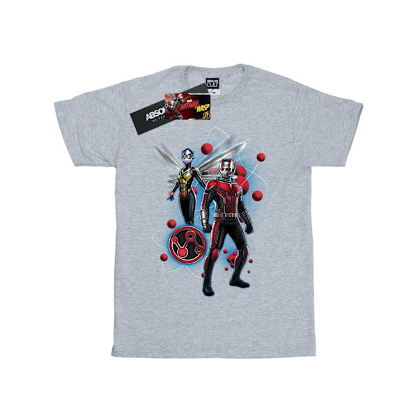 Ant-Man och getingflickan flickor partikelpose bomull T-shirt 5-6 år Sports Grey 5-6 Years