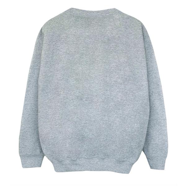 Winnie the Pooh Boys Classic Tigger Sweatshirt 7-8 år Sport Sports Grey 7-8 Years