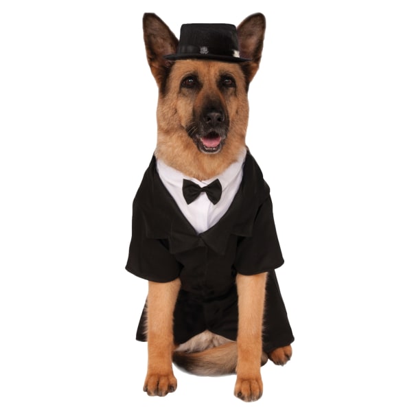 Bristol Novelty Smoking Hund Kostym 3XL Svart/Vit Black/White 3XL