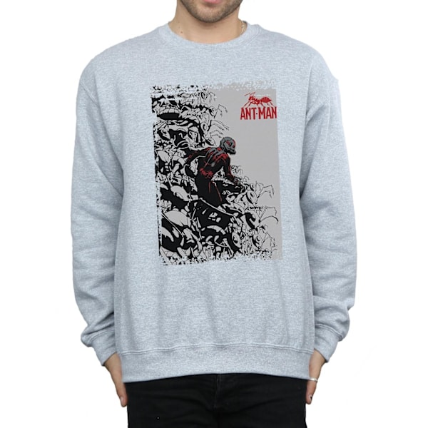 Marvel Herr Ant-Man Army Sweatshirt XXL Sports Grey Sports Grey XXL