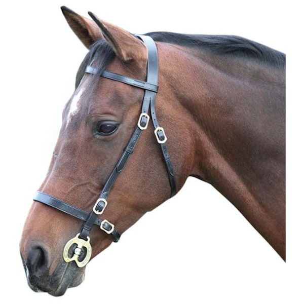 Blenheim Läder Plain Häst Inhand Bridle Cob Svart Black Cob