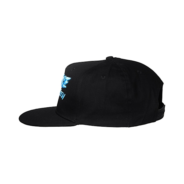 Bruce Springsteen Unisex Vuxen The River Logo Snapback Cap One Black/Blue One Size