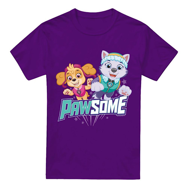 Paw Patrol Herr Pawsome Skye & Everest T-Shirt XXL Lila Purple XXL