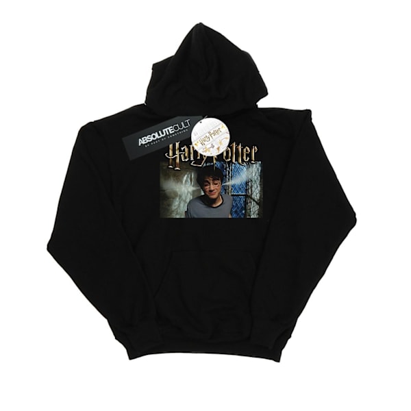 Harry Potter Herr Steam Ears Hoodie 4XL Svart Black 4XL