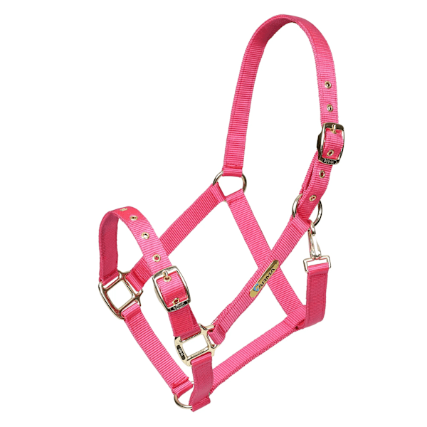 ARMA Justerbart Hästgrimma X Full Rosa Pink X Full