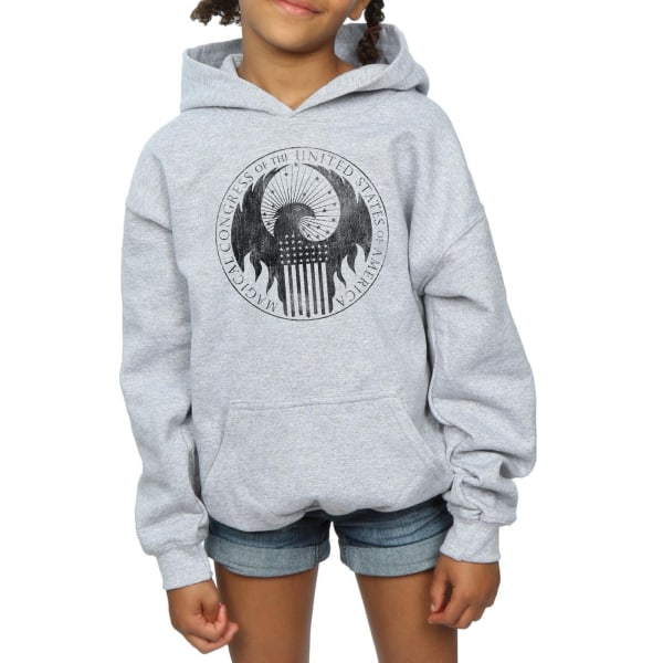 Fantastic Beasts Girls Distressed Magical Congress Hoodie 9-11 Sports Grey 9-11 Years