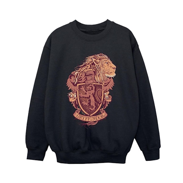 Harry Potter Pojkar Gryffindor Sketch Crest Sweatshirt 7-8 År Black 7-8 Years