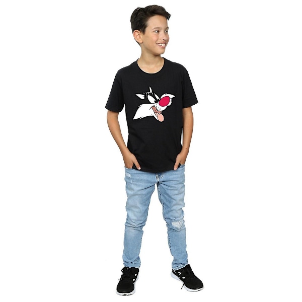 Looney Tunes Boys Sylvester Bomull T-shirt 12-13 år Svart Black 12-13 Years