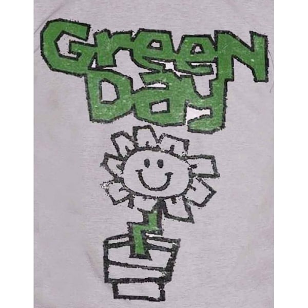 Green Day Unisex Vuxen Blomkruka T-shirt XXL Grå Grey XXL