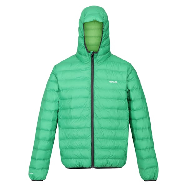 Regatta Marizion Vadderad Jacka med Huva för Män M Field Gree Field Green/Jasmine Green M