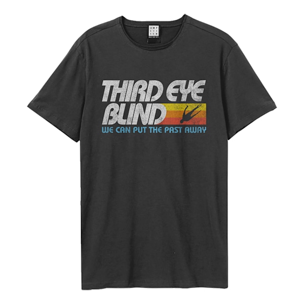 Amplified Unisex Vuxen Jumper Third Eye Blind T-shirt S Charcoal Charcoal S