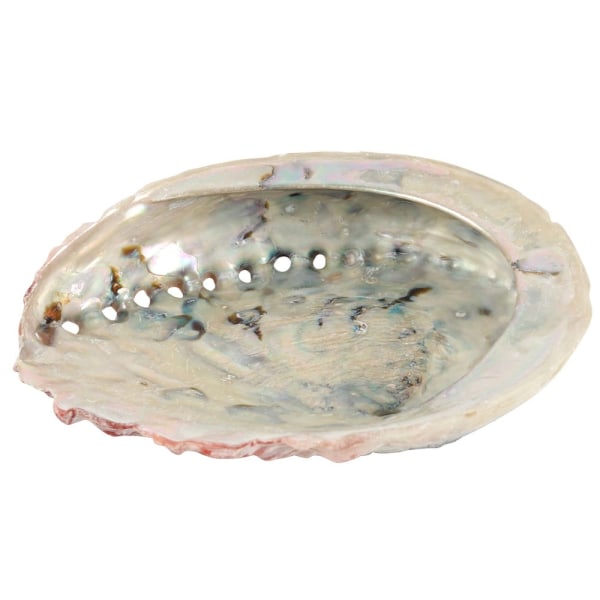 Något annat Abalone Shell One Size Off White/Röd/Grå Off White/Red/Grey One Size