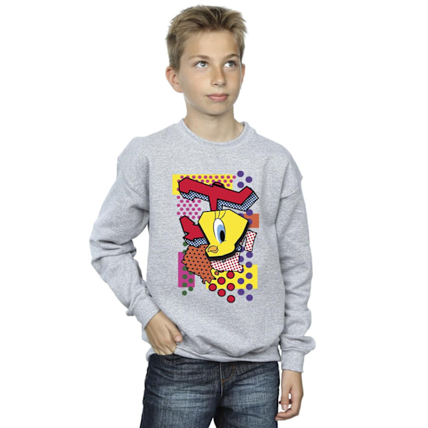 Looney Tunes Boys Tweety Pop Art Sweatshirt 3-4 år Sports Grå Sports Grey 3-4 Years