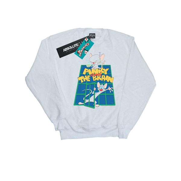 Animaniacs Dam/Damer Rosa Och Hjärnan Laboratorie Sweatshirt White M
