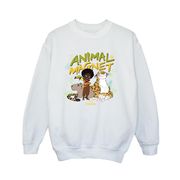 Disney Boys Encanto Animal Magnet Sweatshirt 5-6 år Vit White 5-6 Years