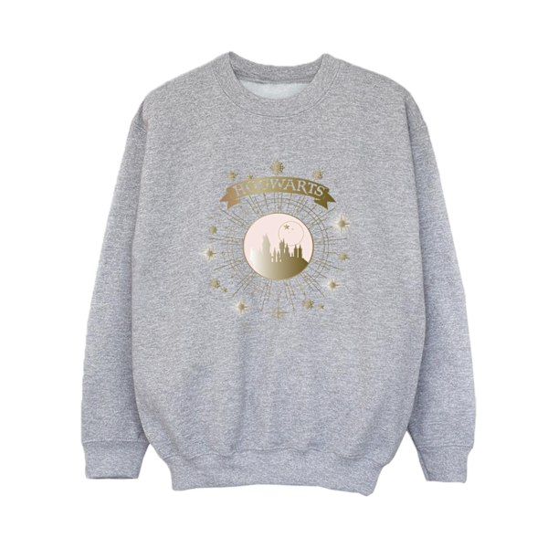 Harry Potter Boys Hogwarts Yule Ball Sweatshirt 9-11 år Spor Sports Grey 9-11 Years