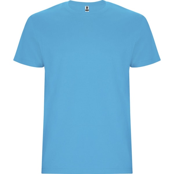 Roly Barn/Barn Stafford Kortärmad T-shirt 9-10 År T Turquoise 9-10 Years