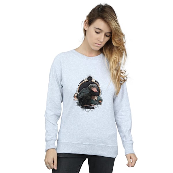 Fantastiska vidunder Kvinnor/Damer Baby Nifflers Sweatshirt M Sport Sports Grey M