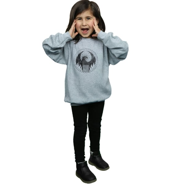 Fantastic Beasts Girls Distressed Magical Congress Sweatshirt 9 Sports Grey 9-11 Years