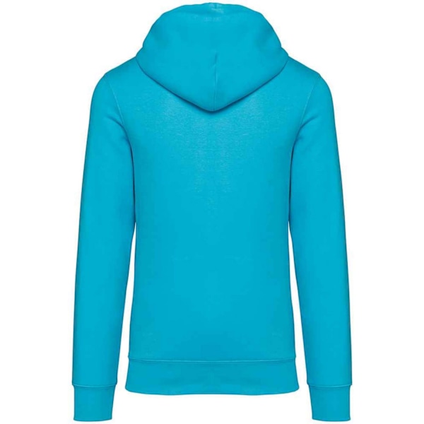 Native Spirit Unisex Vuxen Heavyweight Hoodie S Ljus Turkos Light Turquoise S