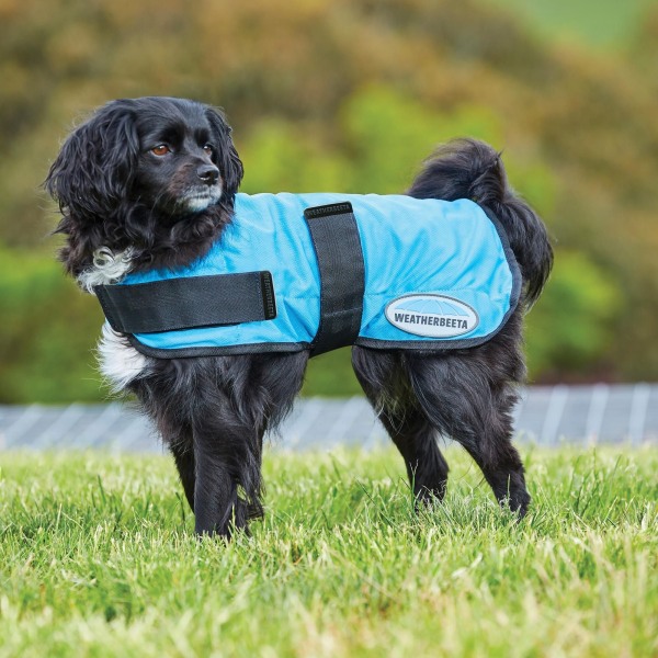 Weatherbeeta Therapy-Tec Dog Cooling Coat 70cm Blå Blue 70cm