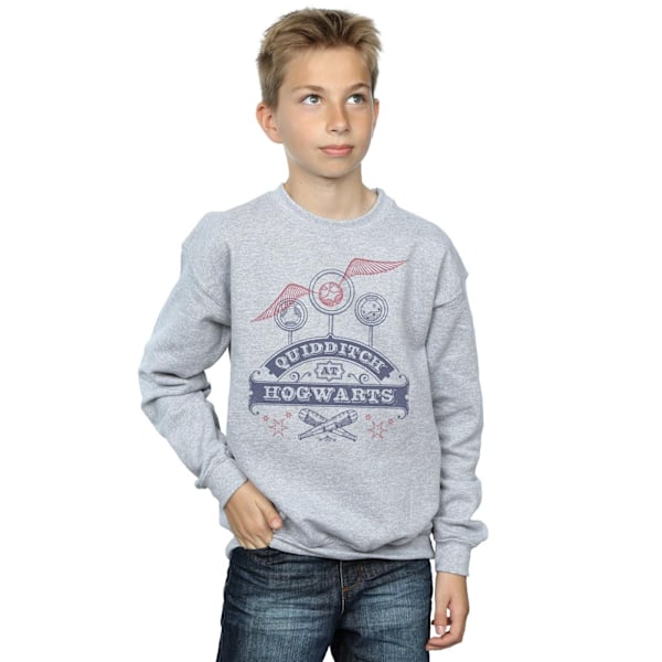 Harry Potter Pojkar Quidditch På Hogwarts Sweatshirt 7-8 År Sp Sports Grey 7-8 Years