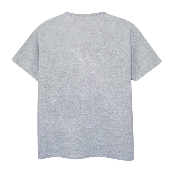 Winnie the Pooh Herr Tigger Pumpa T-shirt L Sportgrå Sports Grey L